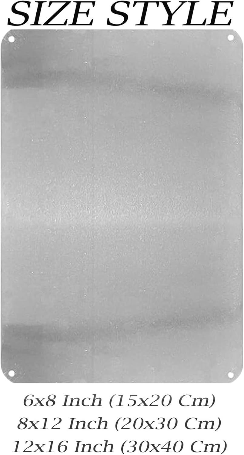 Metalowy szyld z kamerą monito – Home Security Bars recenzja i cena